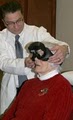 Diversified Hearing Services image 4