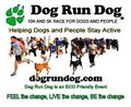 Dog Run Dog 10K/5K for Dogs and People - A GREEN event image 2