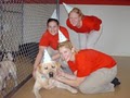 Doggie Daycare Center image 3