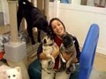 Doggie Daycare Center image 1