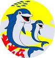 Dolfin Swim School image 3