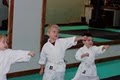 Double Dragon Karate image 9