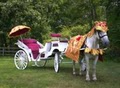 Dream Horse Cinderella Carriage Company image 3
