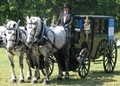 Dream Horse Cinderella Carriage Company image 6