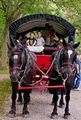 Dream Horse Cinderella Carriage Company image 9