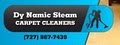 Dynamic Steam Carpet Cleaners logo