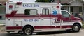 Eagle EMS logo