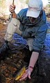 Estes Angler - Estes Park Fishing image 3