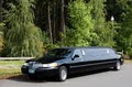 Executive Limousine image 3