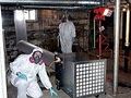Expert Toxic Mold Removal & Remediation image 3