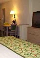 Fairfield Inn Toledo Maumee image 9