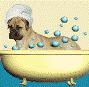 Fetching Frieda's Doggie Spa image 1