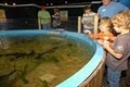 Flint RiverQuarium image 2