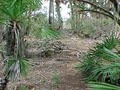 Florida Islands for sale by owner lots & Acreage image 5
