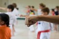 Flying Kick Tae Kwon Do and Fitness Center image 7