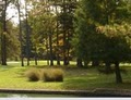 Forest Hills Golf Course logo