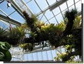 Franklin Park Conservatory: Conservatory Rentals image 4