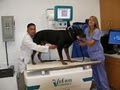 Friendly Animal Hospital image 3