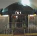 Fur Night Club image 1