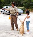 GOOD DOG! - DOG TRAINING image 5