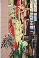 Garden Oaks Florist image 7
