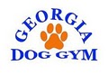 Georgia Dog Gym image 7
