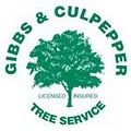 Gibbs & Culpepper Tree Service image 1