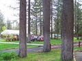 Golden Bear Cottages image 3