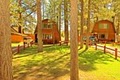 Golden Bear Cottages image 9