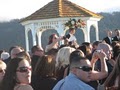 Golden Gate Weddings - Wedding Officiant image 2