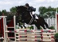 Grande Prairie Equestrian Center image 2