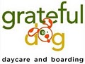 Grateful Dog Daycare logo