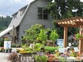 Gray Barn Nursery at Pacific Topsoils, Inc. image 3