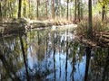 Green Acres Fish Farm image 1