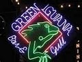 Green Iguana Bar & Grill image 5