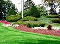 Green Pastures Lawn and Landscape Company LLC image 1