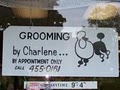 Grooming By Charlene & Pet Boutique image 5