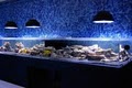 H2O Exlusives Aquarium image 1