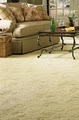 HP Carpet and Hardwood image 2