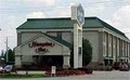 Hampton Inn Marshall image 8