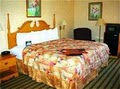 Hampton Inn Olean image 1