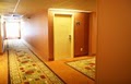 Hampton Inn image 6