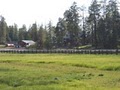 Hannagan Meadow Lodge image 9