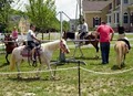 Happy Tales Traveling Petting Zoo Farm and Pony Rentals Too for  Parties image 2