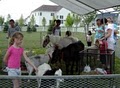 Happy Tales Traveling Petting Zoo Farm and Pony Rentals Too for  Parties image 1