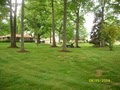 Harp lawncare and seasonal maintenance image 5