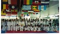 Hawaii Elite Taekwondo Academy Inc logo