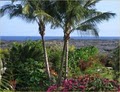 Hawaiiwego.com image 5