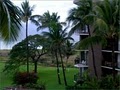 Hawaiiwego.com image 7