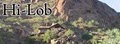 Hi-Lob logo